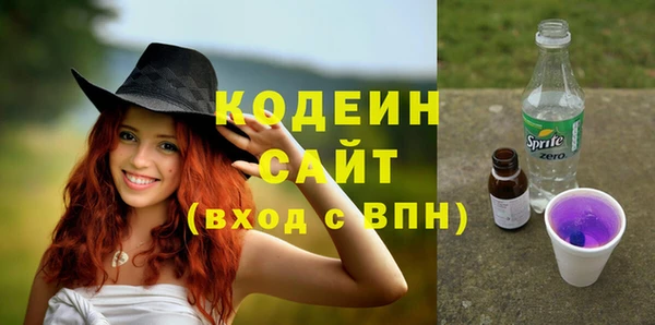 хмурый Богородск