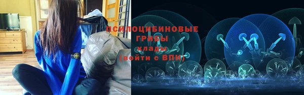 первитин Богданович