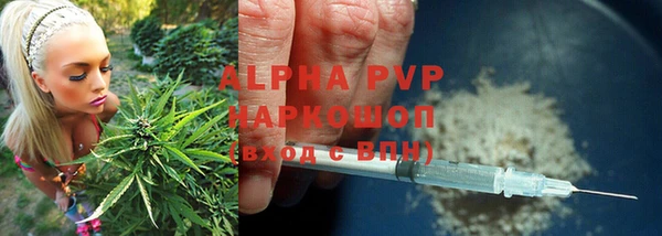 первитин Богданович